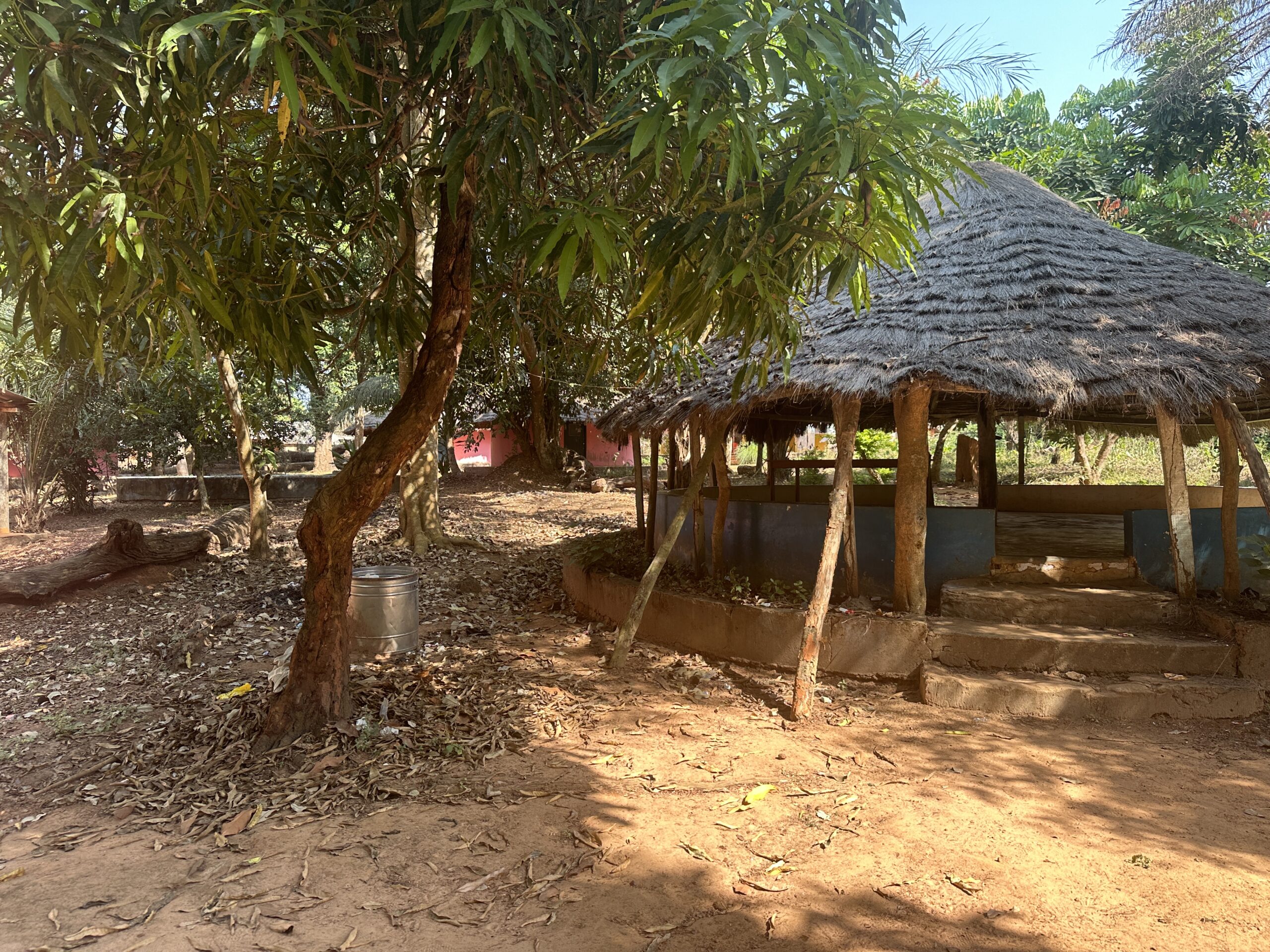 Campamento Ecotourismo Cantanhez auf der Suche nach Schimpansen