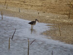 IMG_6584